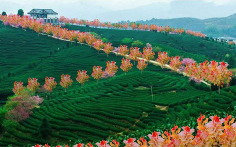 公園造景+綠色裝點(diǎn)